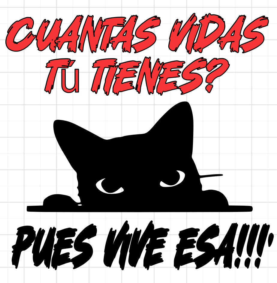 Cuantas vidas tú tienes?