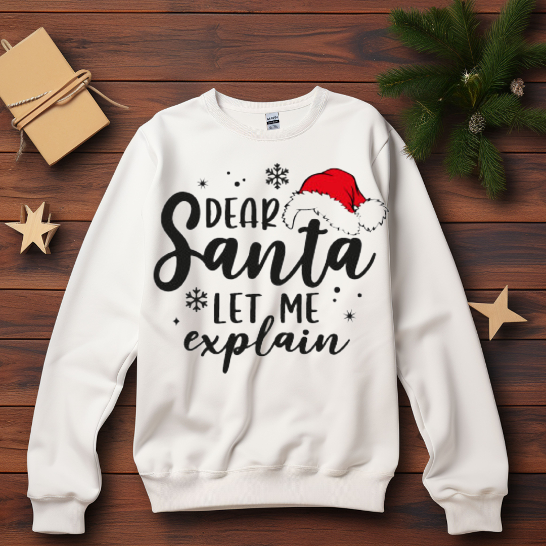 Dear Santa let me explain