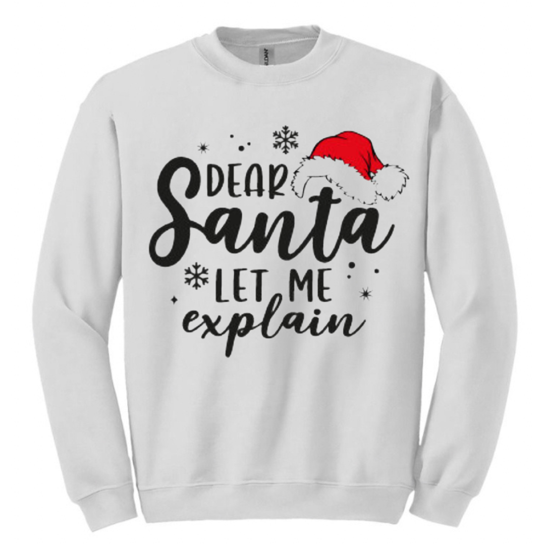 Dear Santa let me explain